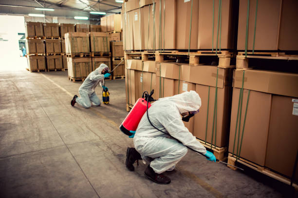 Best Flea Control Services  in Spencer, OK