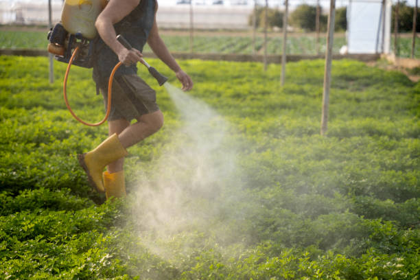 Best Best Pest Control Companies  in Spencer, OK