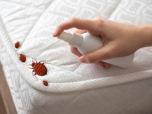 Best Affordable Pest Control Services  in Spencer, OK