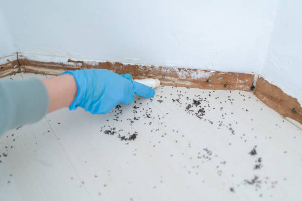 Best Mosquito Control Services  in Spencer, OK